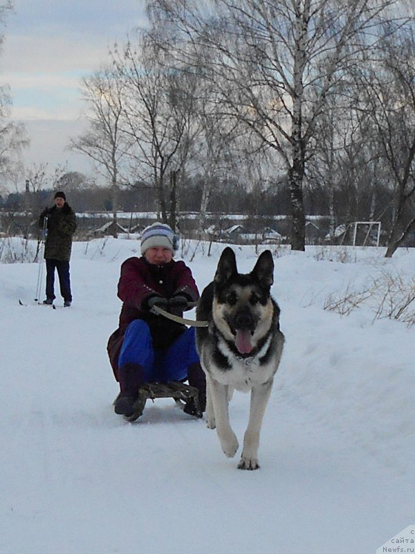 Фотография № 220059