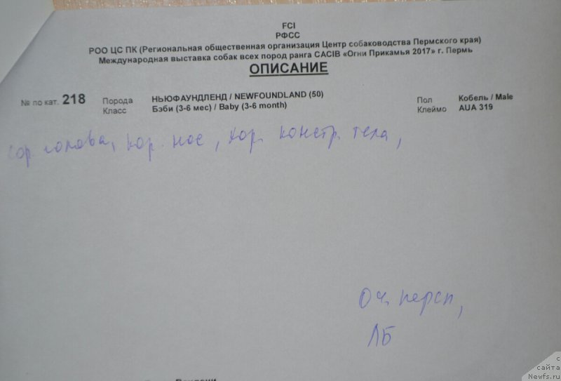 Фото: Елена Вотчал