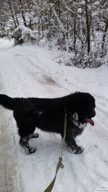 Фотография № 220116