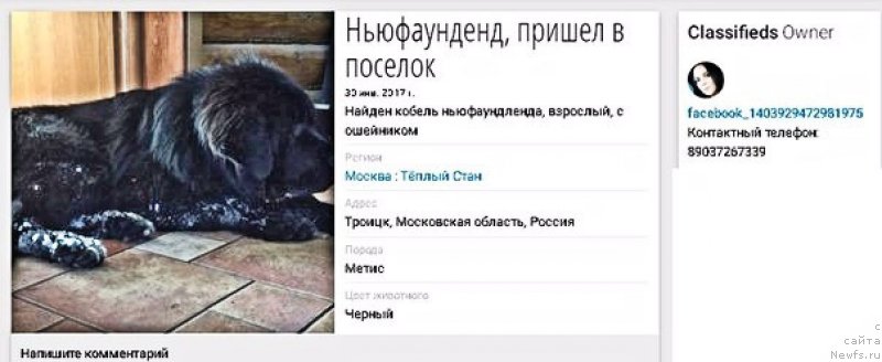 Фотография № 220117