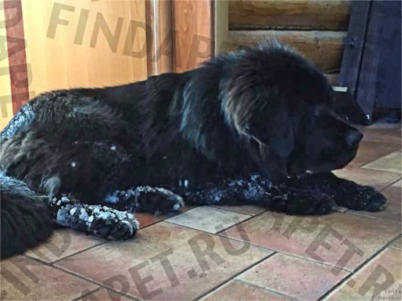 Фотография № 220120