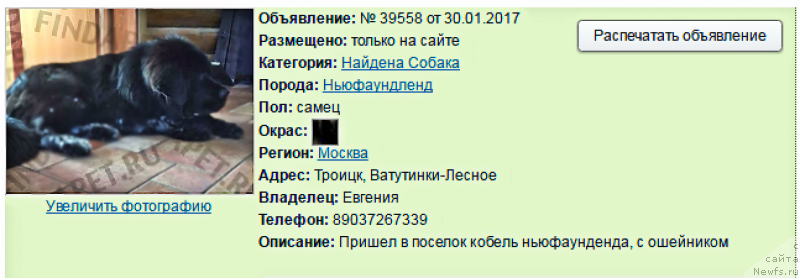 Фотография № 220121