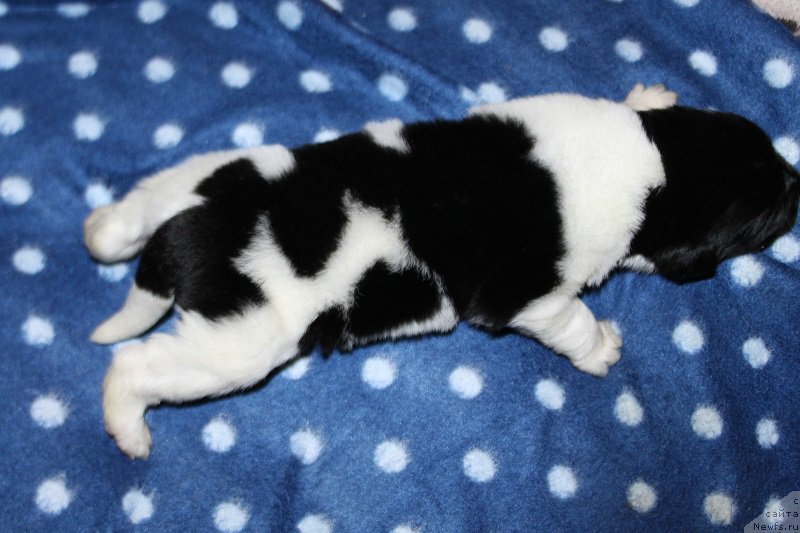 Фотография № 220122