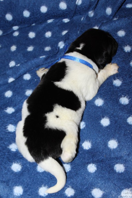 Фотография № 220124