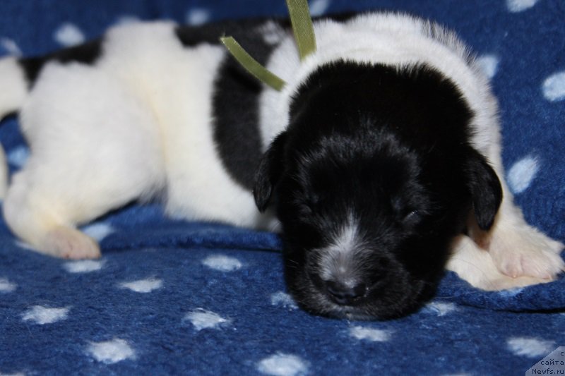 Фотография № 220127