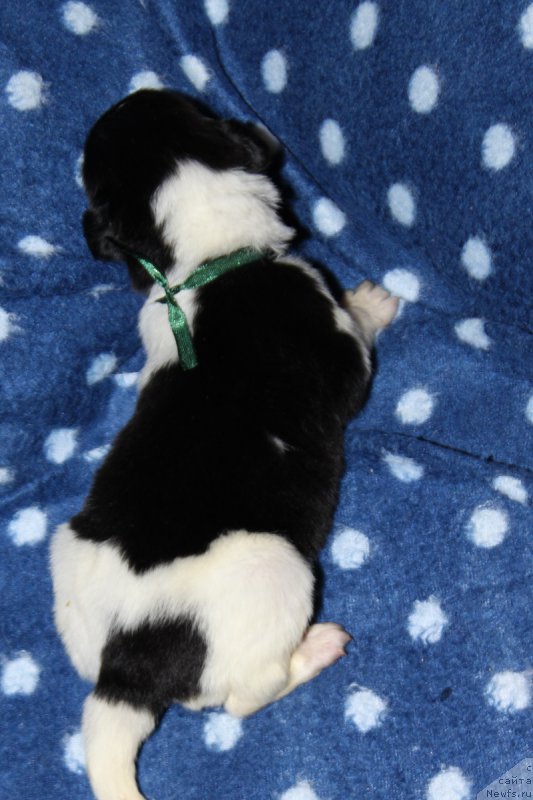 Фотография № 220128