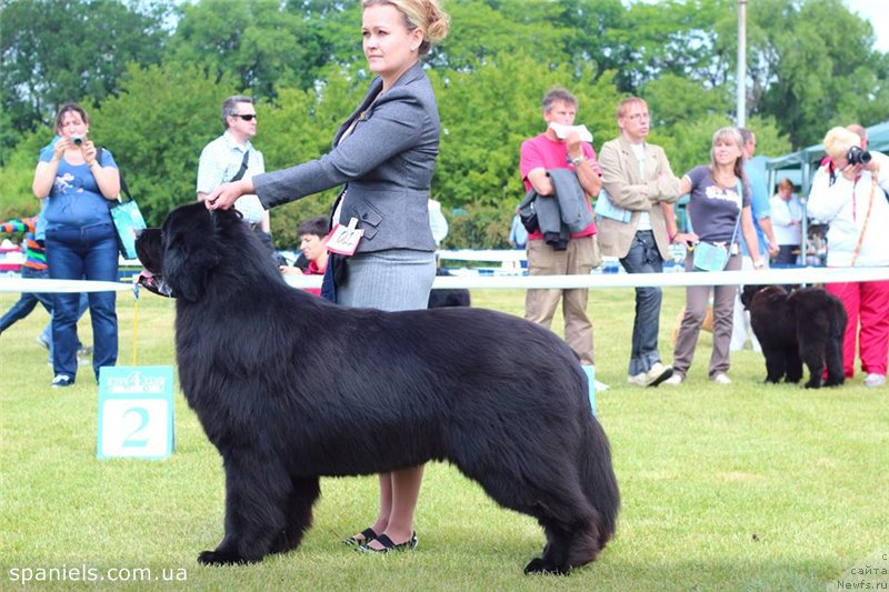 Фотография № 220146