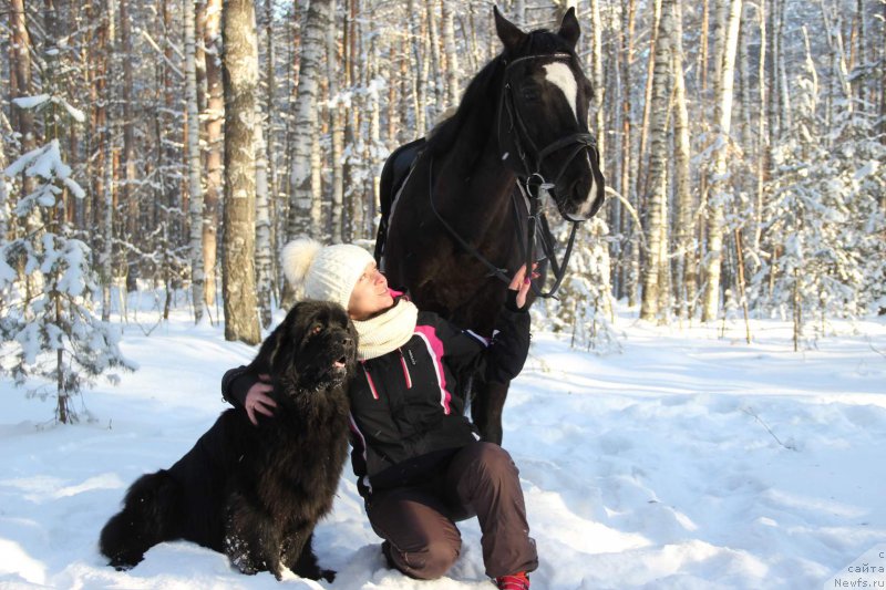 Фотография № 220148