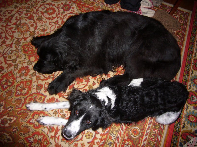 Фото: Вера Гончарова