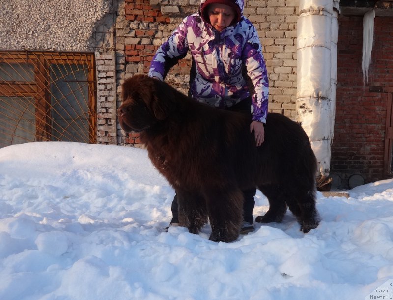 Фотография № 220165