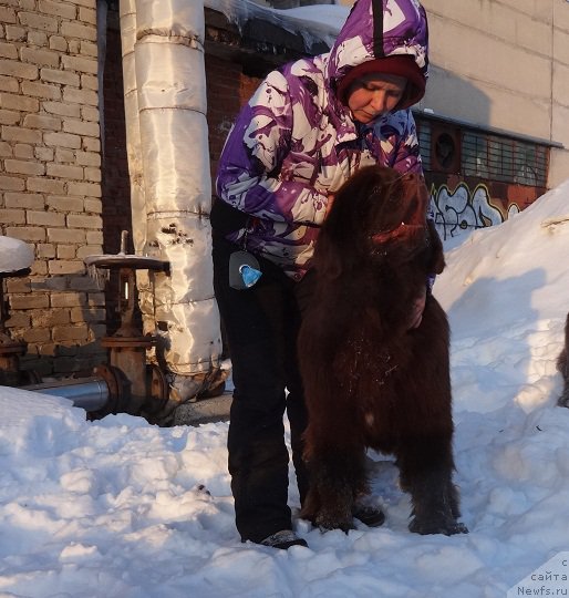 Фотография № 220167