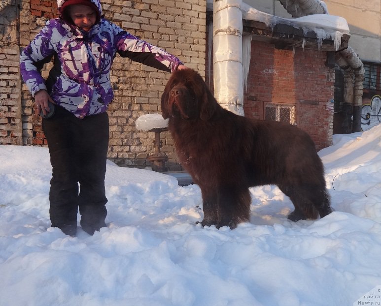 Фотография № 220169