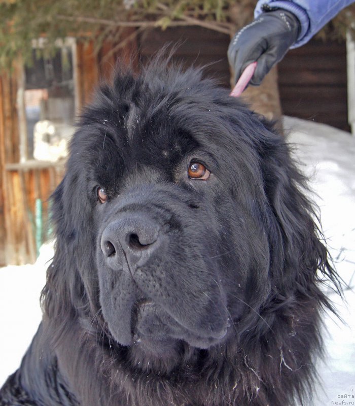 Фотография № 220201