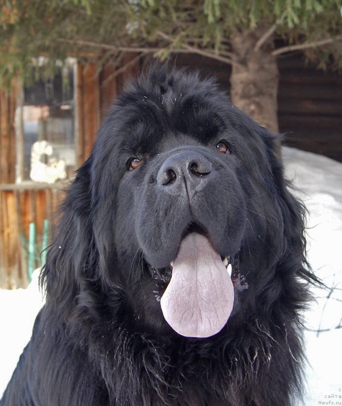 Фотография № 220202