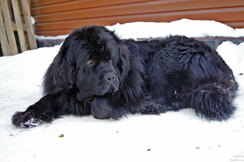 Фотография № 220204