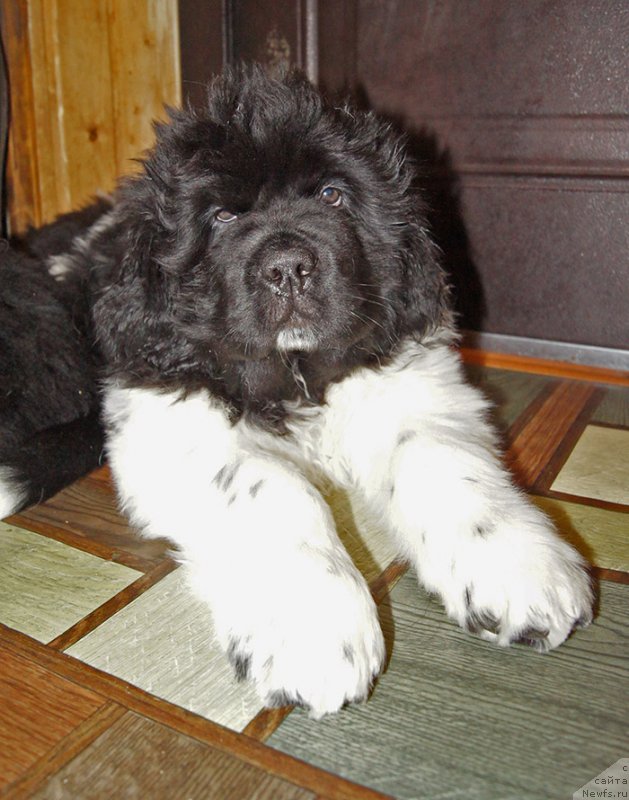 Фотография № 220207