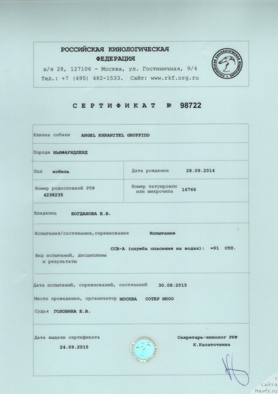 Фото: ньюфаундленд Ангел Хранитель Граффидд (Angel Khranitel Gruffidd)