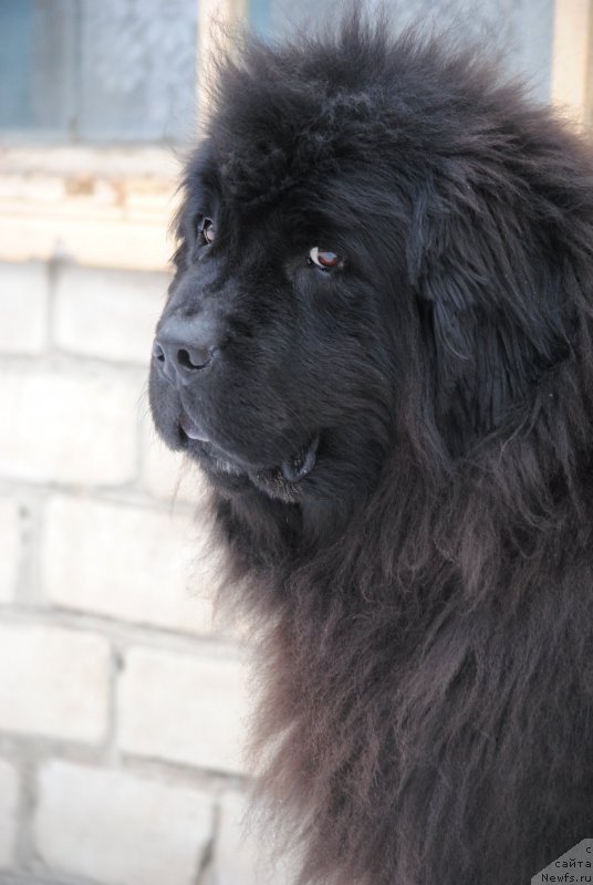 Фотография № 220224