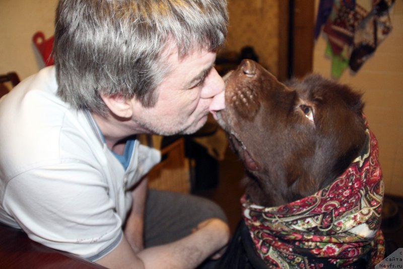 Фотография № 220234