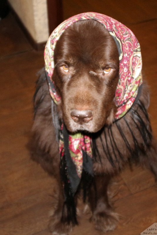 Фотография № 220238