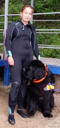 Фотография № 220241