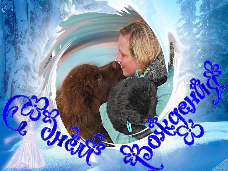 Фотография № 220242