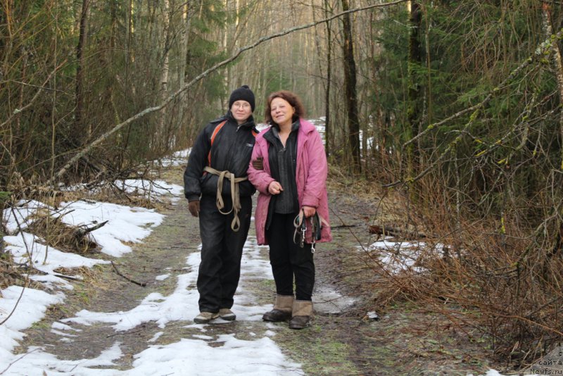 Фотография № 220262