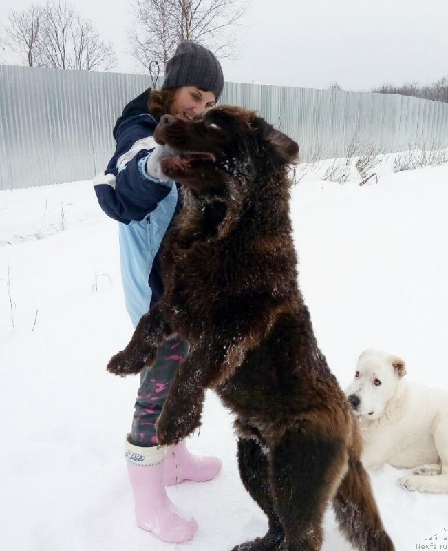 Фотография № 220332