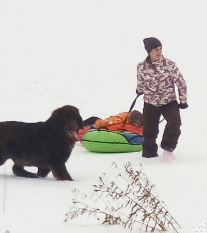 Фотография № 220336