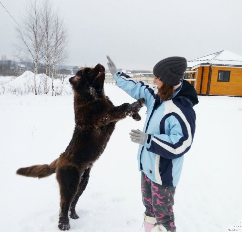 Фотография № 220337