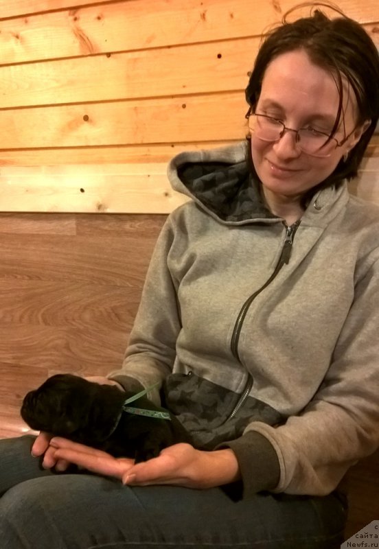 Фото: Марина Волкова