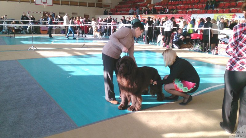 Фотография № 220344