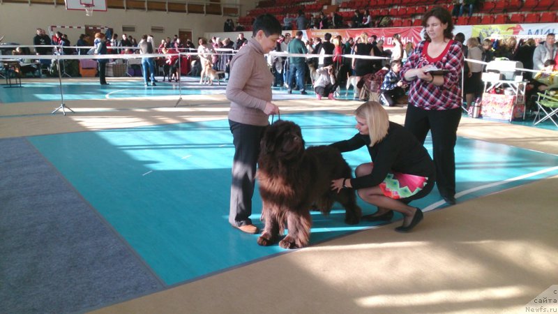 Фотография № 220345