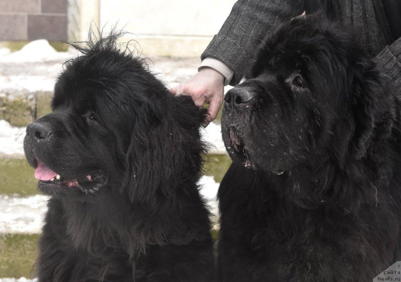 Фотография № 220347