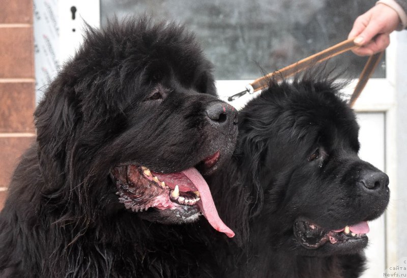 Фотография № 220352