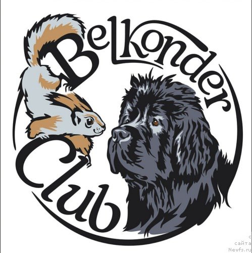 Фотография № 220406