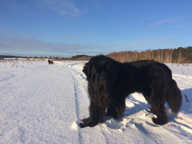 Фотография № 220422