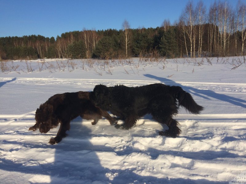 Фотография № 220423