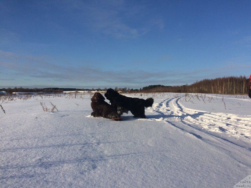 Фотография № 220424