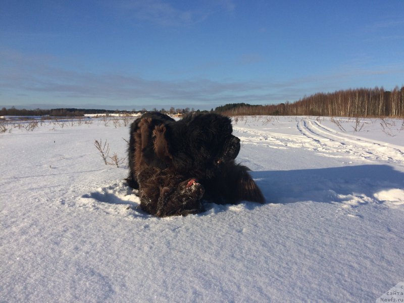 Фотография № 220425