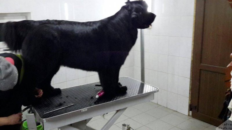 Фотография № 220447