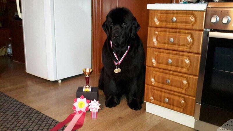 Фотография № 220448