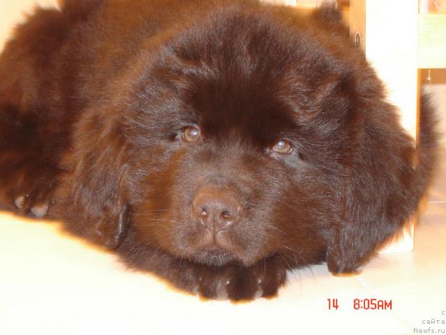 Фотография № 22046