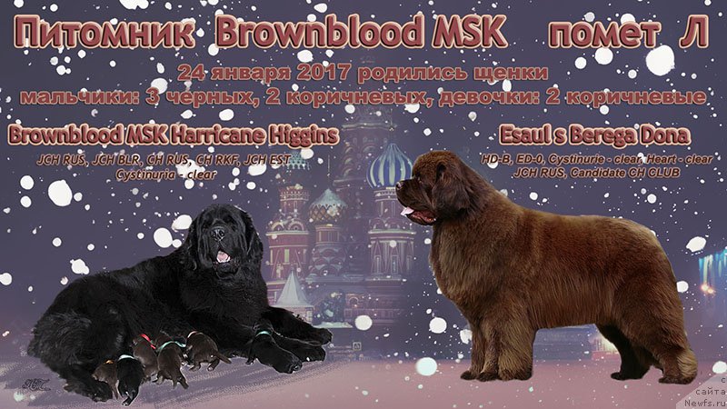 Фотография № 220492