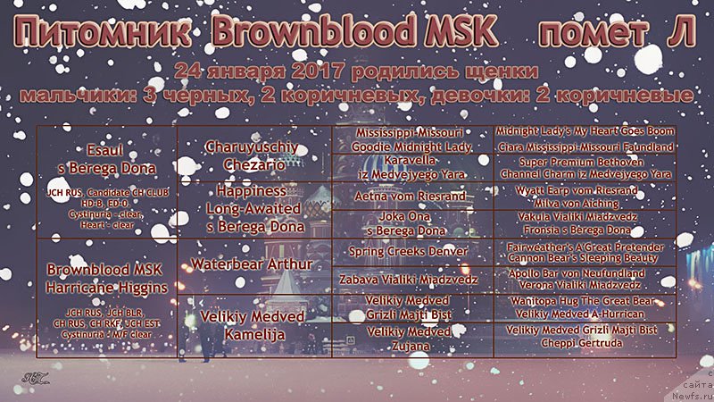 Фотография № 220500