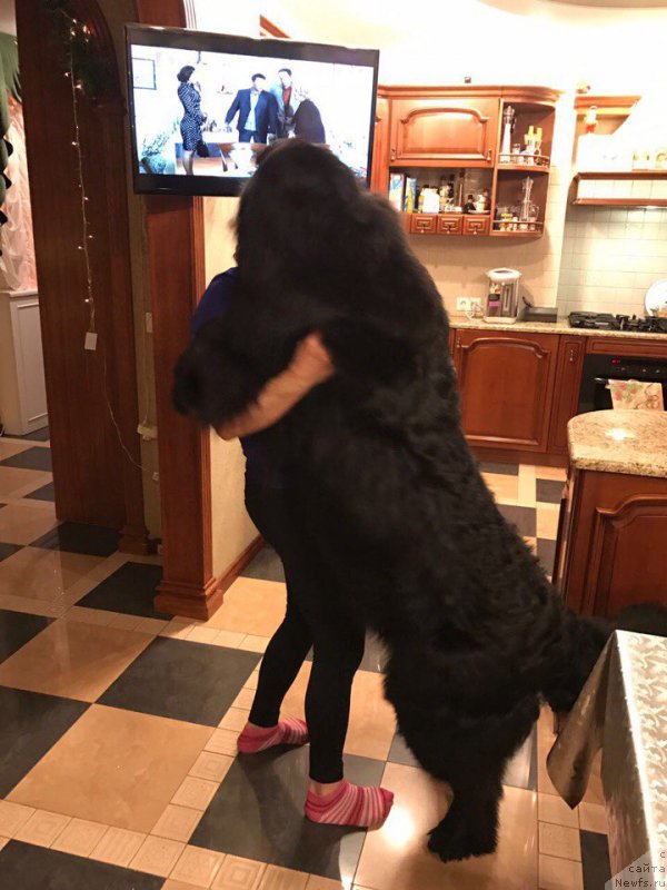 Фотография № 220512