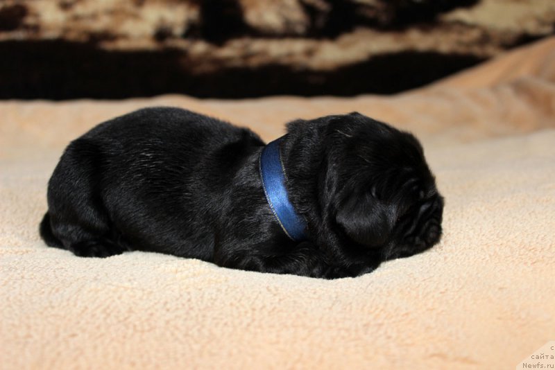 Фотография № 220522