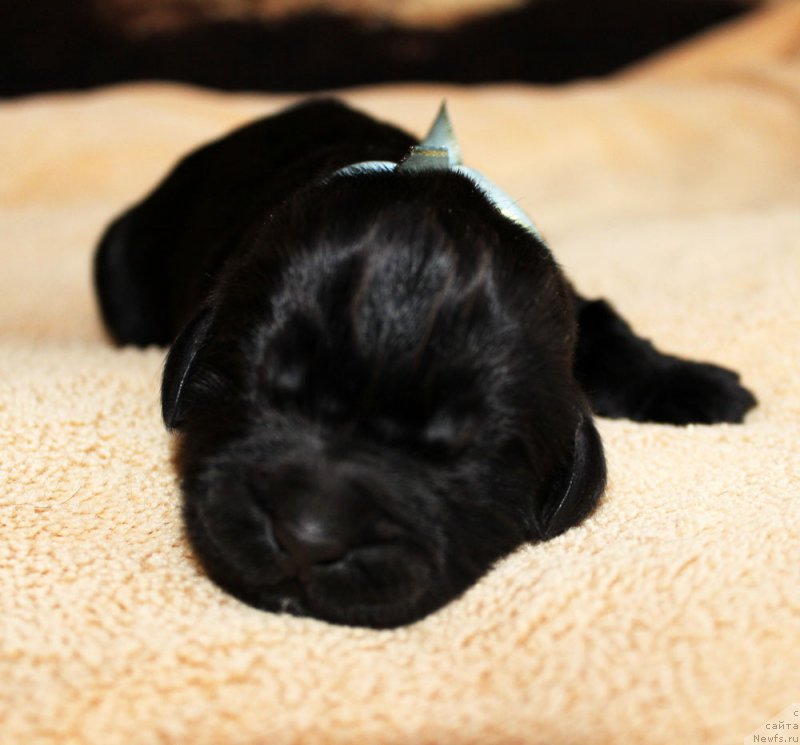 Фотография № 220523