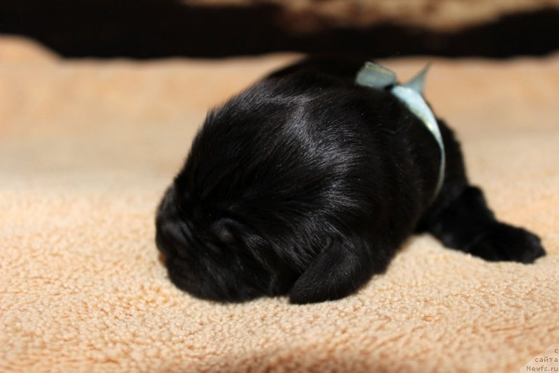 Фотография № 220525