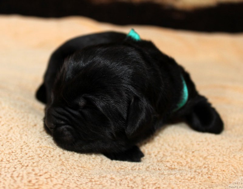 Фотография № 220531